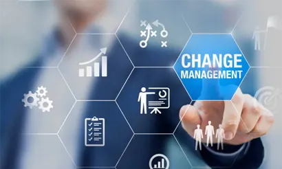 Change Management & Training